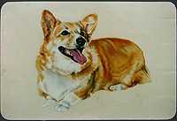 Corgi